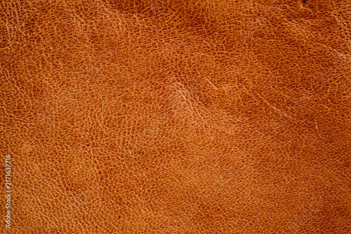 Принти на полотні Brown leather material with textured background and copy space