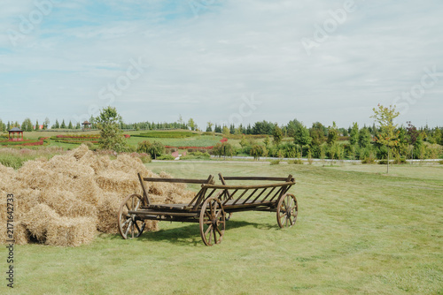 Canvastavla Old wooden cart near haystack in grassy field with trees and flowers