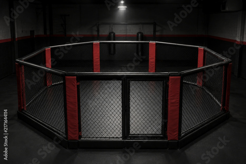 Empty octagonal MMA cage with punching bags in dim gym, combat sports training space