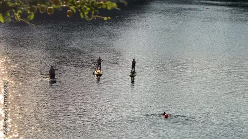 Paddleboarders on sunlit lake