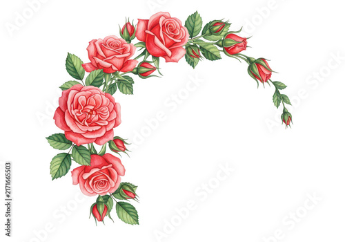 Beautiful red rose flower wreath arch design isolated on transparent background