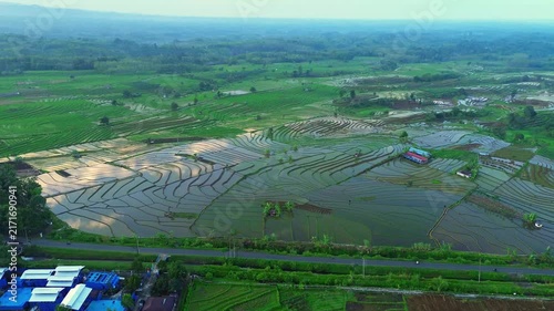 the beauty of the foggy morning panorama with sunrise and rice fields in Bengkulu, indonesia, asia