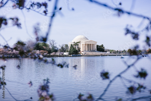 Canvas Print Spring cherry blossoms frame the Jefferson Memorial