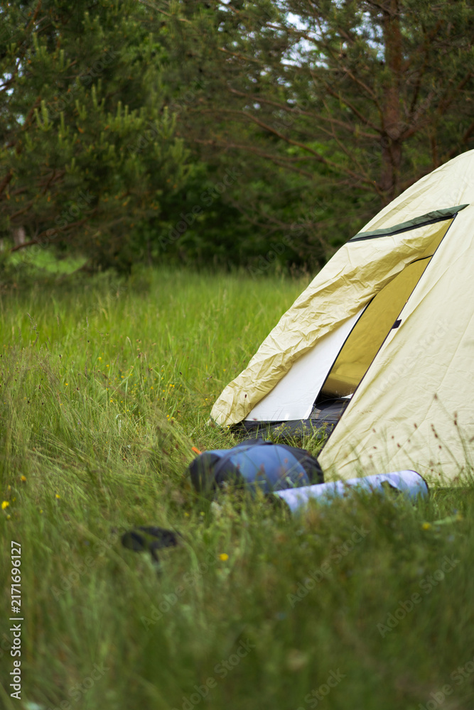 Obraz premium Camping tent set up in a lush green meadow