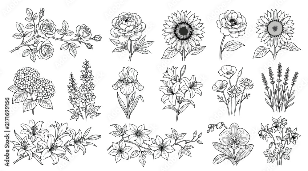 Fototapeta premium Adobe Illustrator Artwork