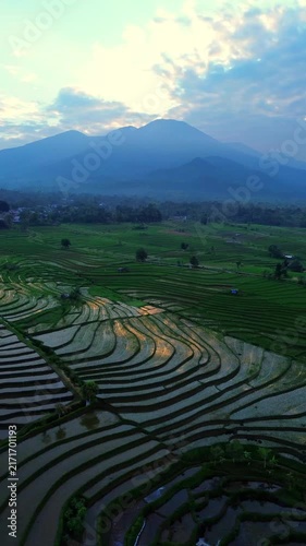 the beauty of the foggy morning panorama with sunrise and rice fields in Bengkulu, indonesia, asia