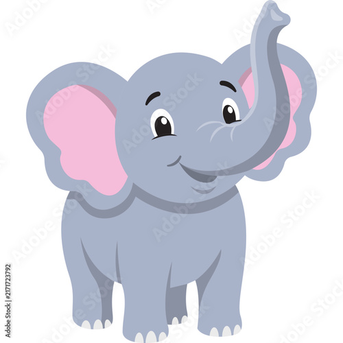 Animal Illustration