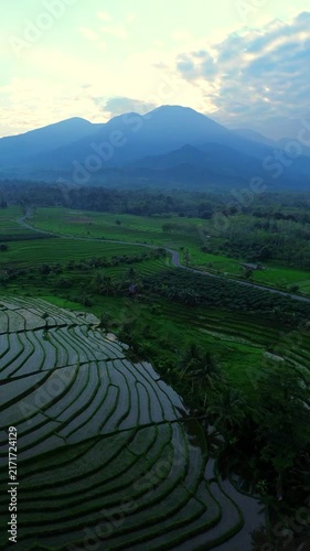 the beauty of the foggy morning panorama with sunrise and rice fields in Bengkulu, indonesia, asia