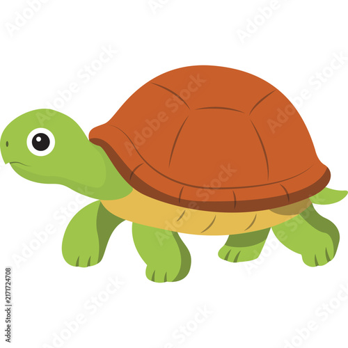 Animal Illustration