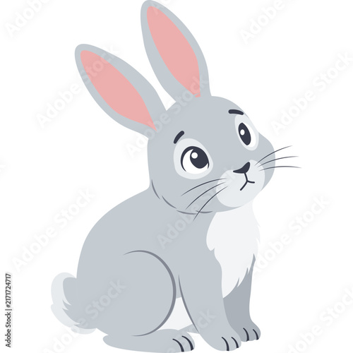 Animal Illustration