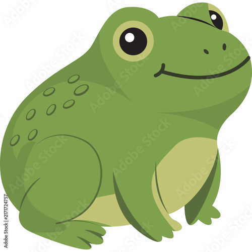 Animal Illustration
