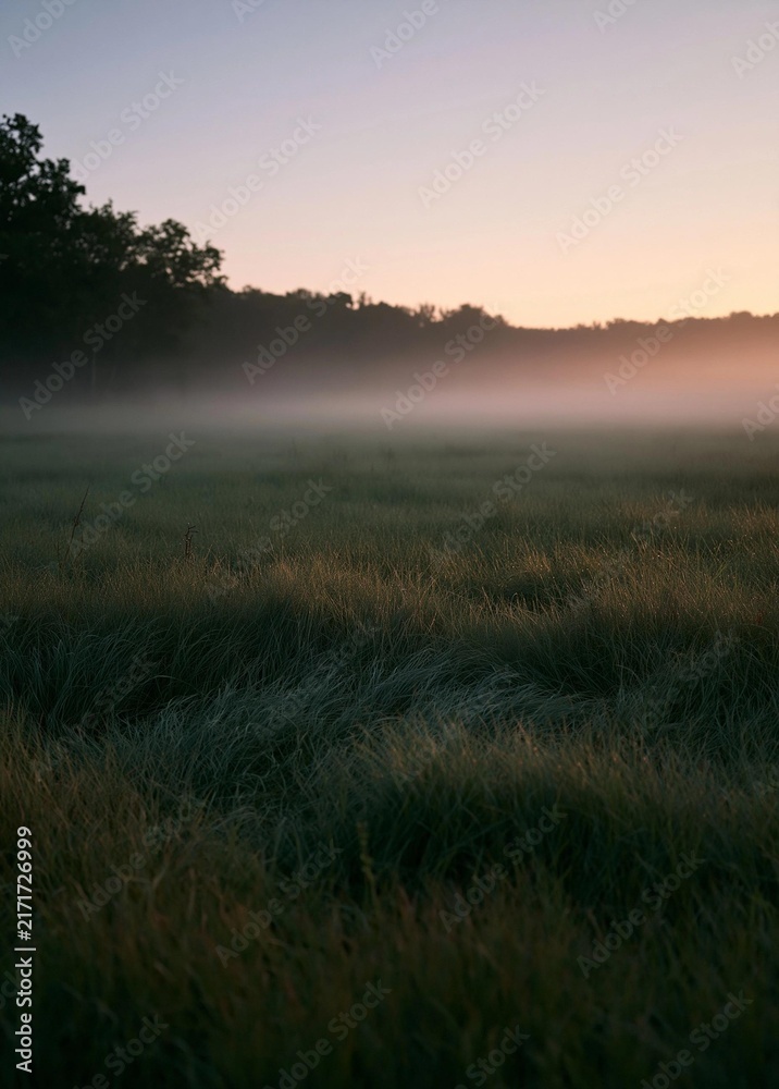 Obraz premium Landscape photograph of a field of tall grass at sunrise or sunset. the sky is a beautiful shade of orange and pink, with the sun partially visible in the top right corner.