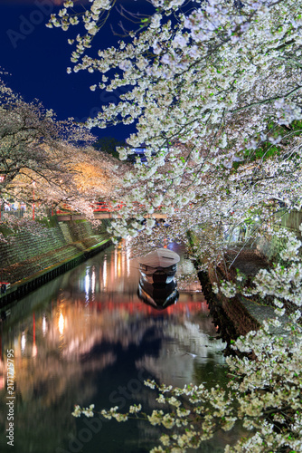 Night cherry blossoms along Suimon River with boat and red bridge at Oku no Hosomichi Musubi no Chi Ogaki Gifu Japan


