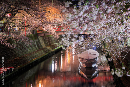 Night cherry blossoms along Suimon River with boat and red bridge at Oku no Hosomichi Musubi no Chi Ogaki Gifu Japan

