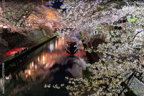 Night cherry blossoms along Suimon River with boat and red bridge at Oku no Hosomichi Musubi no Chi Ogaki Gifu Japan

