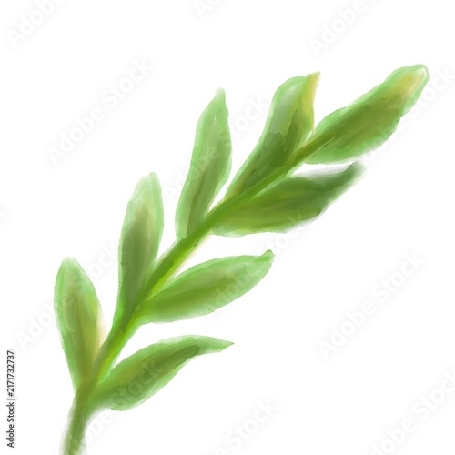 Fresh green leaves