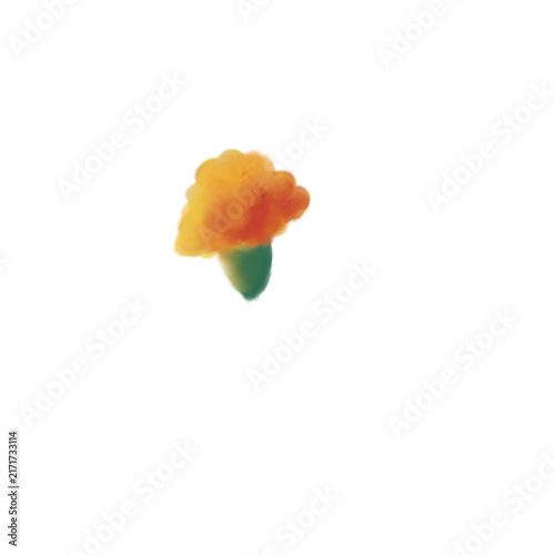 Watercolour Marigold Flower