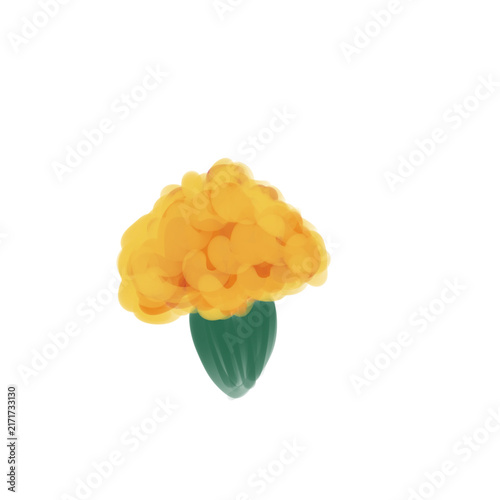 Marigold flower