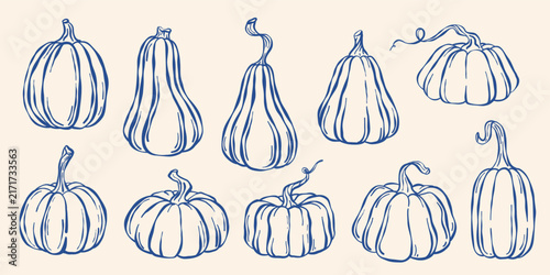 Outline pumpkin collection isolated on white background. Whimsical ink hand drawn clipart elements. Halloween, Thanksgiving day, Harvest festival design elements. Fall vector illustration
