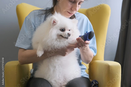 Pet footwear and paw protection moment with small fluffy white puppy wearing bootie while woman steadies paw