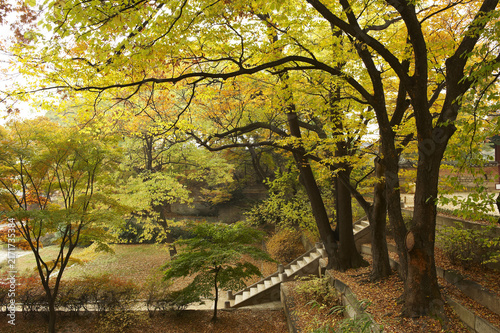 Photography 창경궁,종로구,서울