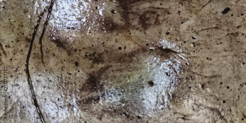 фотографія Close up photograph of textured rock surface with mineral deposits and cracked e