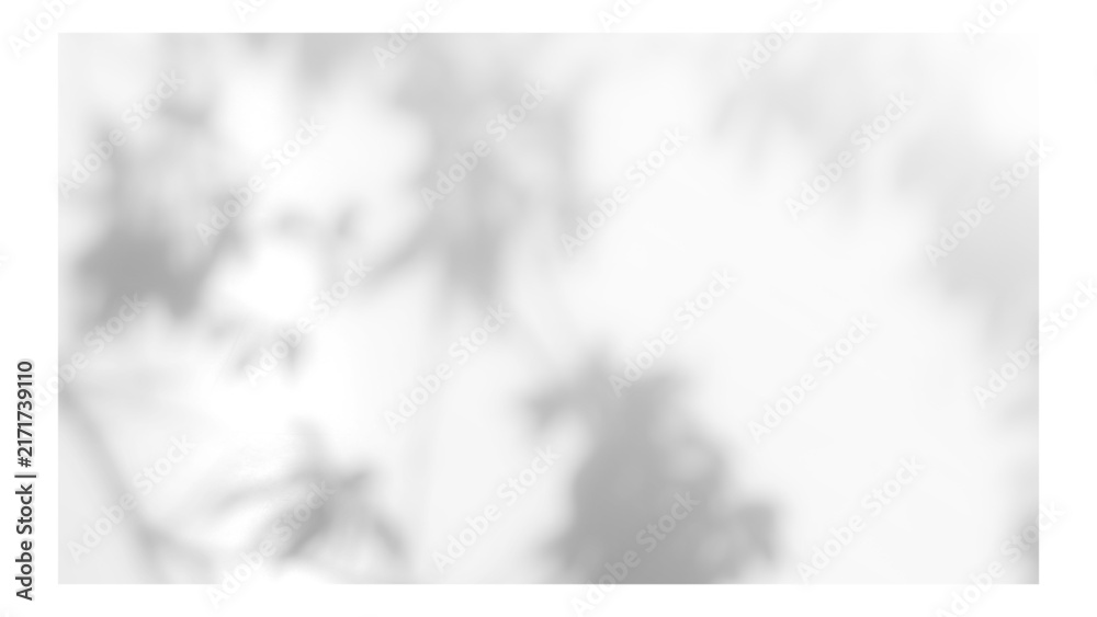Obraz premium Frame with tree and leaf shadows, featuring grain and noise texture on a transparent background for your mockup