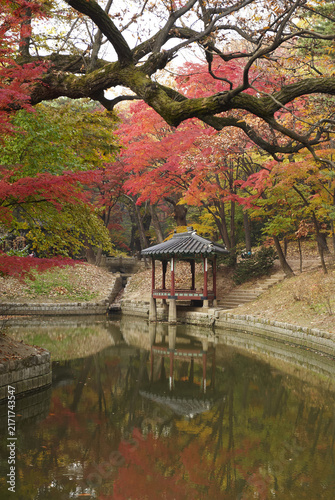 Photography 관람정,창덕궁,종로구,서울