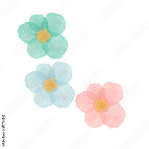 flowers on white background, watercolor flower background