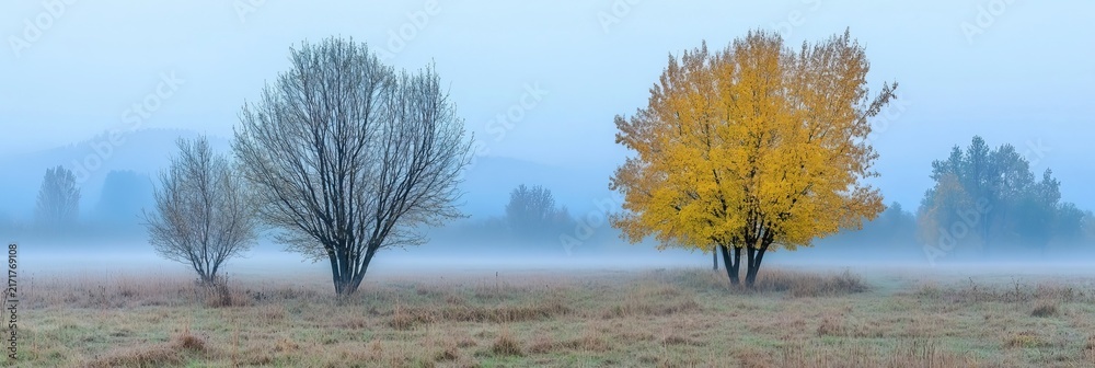 Naklejka premium Autumn Fog Over A Misty Open Meadow With Trees In Differing Seasonal Colors Morning Landscape Shot