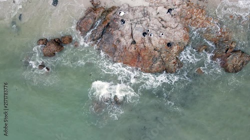 Aerial view of penguins on rocky shoreline with ocean waves