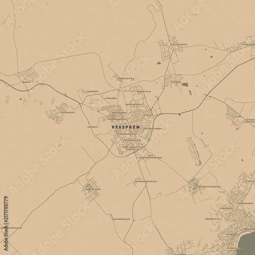 Vintage Map of Veszprem Hungary – Historic Castle City and Lake Balaton Heritage