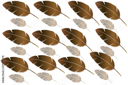 Dried leaves scattered on plain background