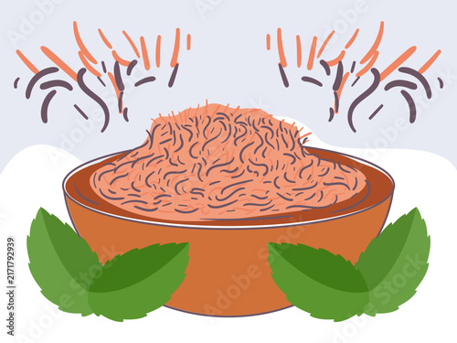 Cumin Craze Concept IllustrationVector Style