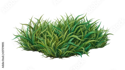 Small patch of fresh green grass isolated on white background isolated on transparent background