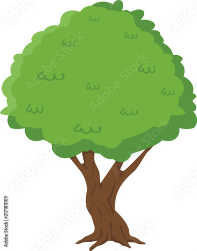 Lush Green Summer Tree with Brown Bark Trunk