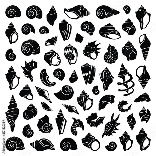 Bild auf Leinwand Sea shells collection silhouette set of various marine mollusks with clam shells