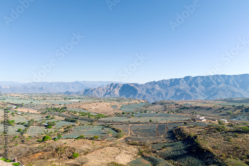 Agave tequilana fields in Tequila Jalisco Mexico with rural landscape and hills