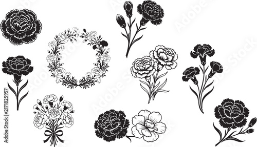 Carnation flower vector icon set