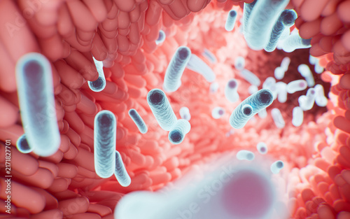 Microscopic probiotics bacteria for digestive health and treatment. 3d rendering.