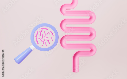 Human intestinal system and probiotics, 3d rendering.