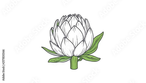 Single white lily flower with green stem and leaves.