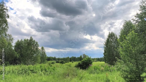 Scenic woodland meadow under dramatic cloudy sky with approaching summer storm