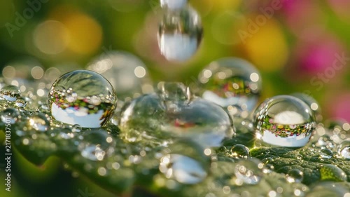 Macro view of glistening water droplets on a textured green leaf. The droplets capture a vibrant reflection of colorful flowers, showcasing morning dew and natural beauty.