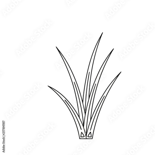 Outline of grass blades