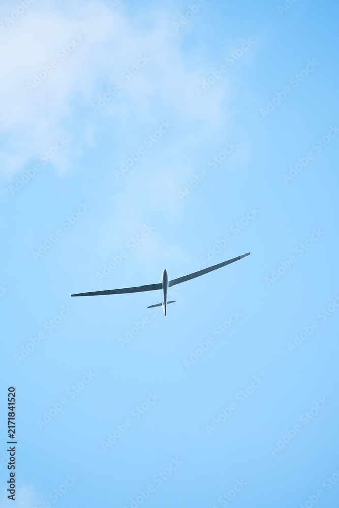 Fototapeta premium Sleek aircraft gliding through calm summer weather
