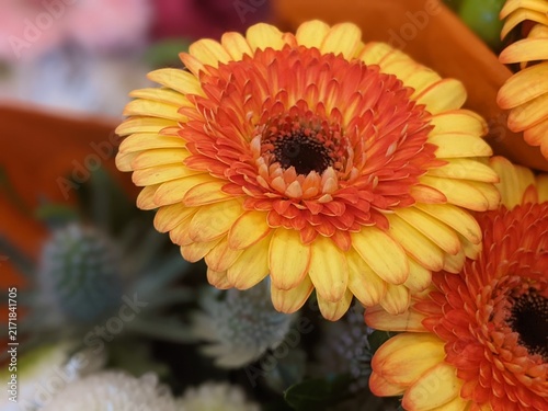 Vibrant two-tone orange and yellow gerbera daisy flower blooming in a bouquet