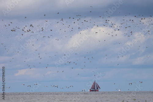 Obraz w ramie waders migration