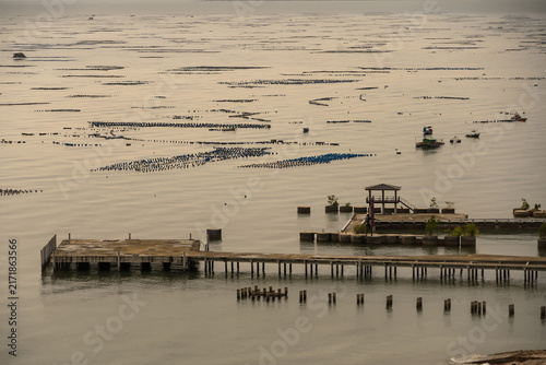 Water Ecosystem and Infrastructure: An aerial view captures a complex water ecosystem, showcasing aquaculture farms and piers integrated into a tranquil sea.