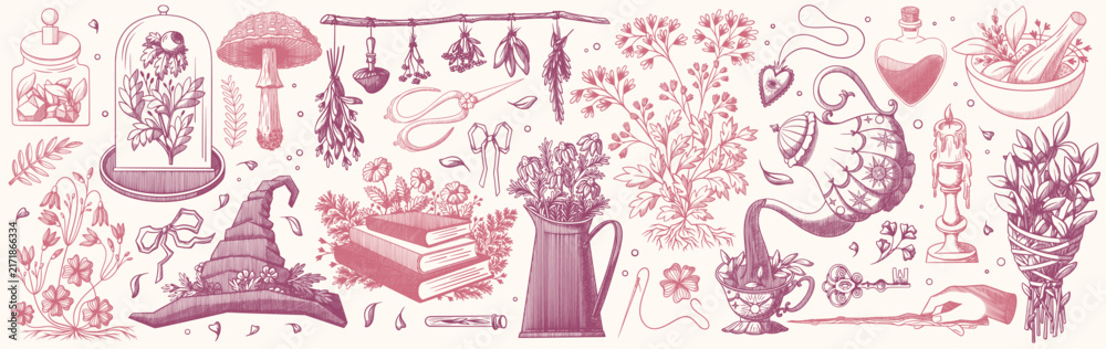 Naklejka premium Witchcraft apothecary collection of potion bottles and herbs. Vector sketch illustration of vintage witch hat, flowers, mushrooms, poison tubes, hand with wand, engraved magic items, Halloween poster